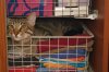 DSC01732.JPG
