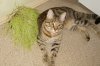 DSC01770.JPG