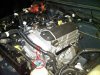 suzuki3D_005.jpg