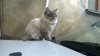 WP_20140423_035.jpg