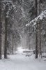 DSC02136.jpg