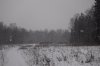 DSC02127.JPG