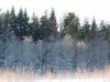 IMG_3640_1_1.jpg