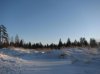 IMG_3643_1_1.jpg