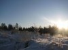 IMG_3650_1_1.jpg