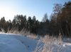 IMG_3651_1_1.jpg