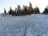 IMG_3688_1_1.jpg