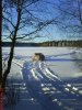 DSC00152.JPG