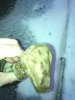 IMG_20150216_180747.jpg