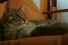 DSC01988.JPG