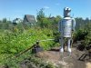 20150613_121052.jpg