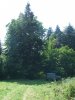 DSCF7210.JPG