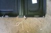 IMAG0068.jpg