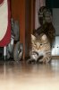 DSC02401.JPG