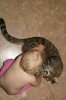 DSC02397.JPG