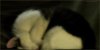 AB207988_L.jpg
