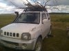 Белый зарос...jpg