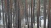 DSC01092.JPG