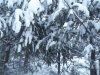 20160103_163112.jpg