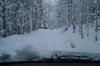 DSC02539.JPG