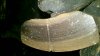 WP_20160119_22_27_50_Pro.jpg