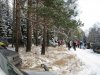 IMG_2921.JPG