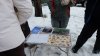 DSCF1438.JPG