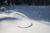 IMG_6168.JPG