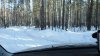 DSC01154.JPG