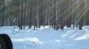 DSC01155.JPG