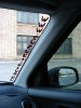IMG_4771_800x600.jpg