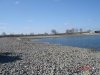 DSC09098.JPG