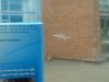 DSC00146.JPG