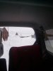 IMG_20160302_091546.jpg