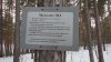 DSC01223.JPG