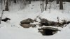 DSC01225.JPG