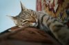 DSC02716.JPG