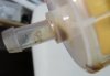 P1130035_.JPG