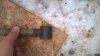 WP_20160322_17_45_37_Pro.jpg