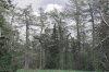 DSC02818-2.jpg