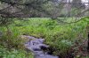 DSC02822.jpg