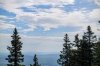 DSC02841.jpg