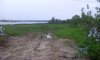 IMG-20160606-WA0034.jpeg