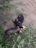 20160612_114739.jpg