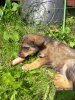 20160610_115525.jpg