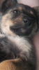 Screenshot_2016-06-11-09-54-53.png