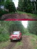развилка2.jpg