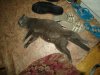 DSC04426.JPG