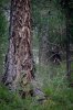 DSC03146-1.jpg