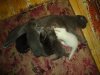 DSC04475.JPG